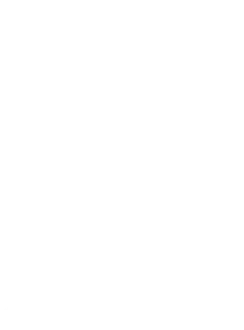 STG Consult